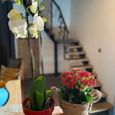 L'instant Present Apartment